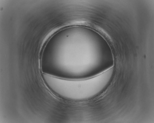 X0000071361324200606230828