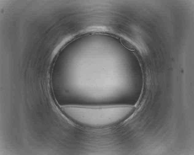 X0000071361325200606230828