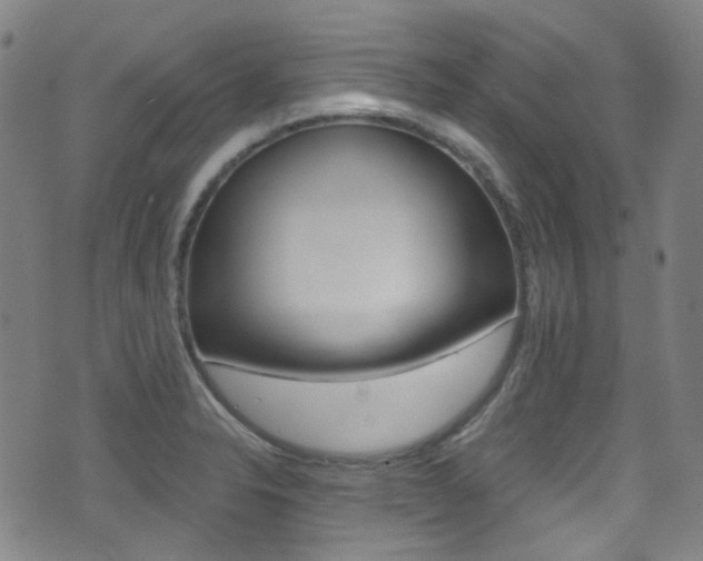 X0000071361326200606230828
