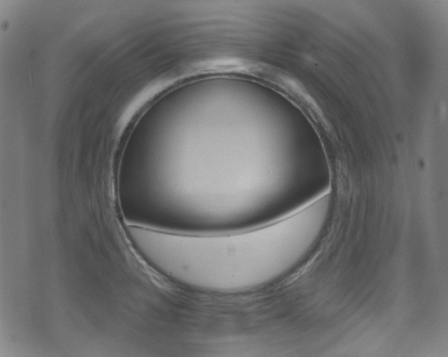 X0000071361328200606230828