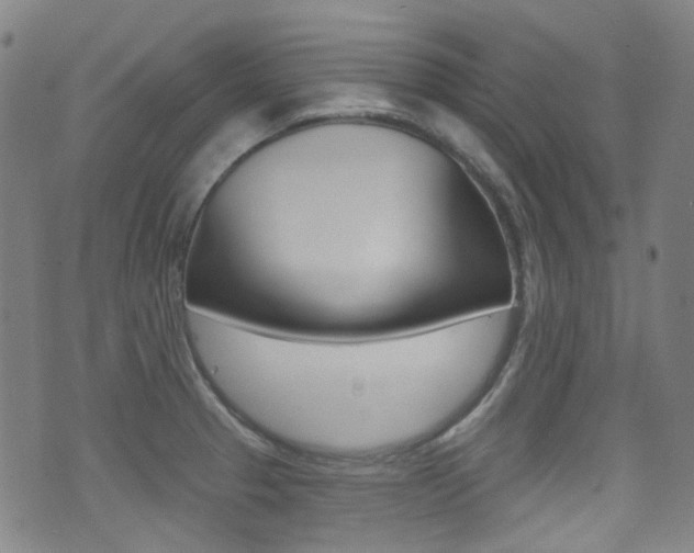 X0000071361329200606230828