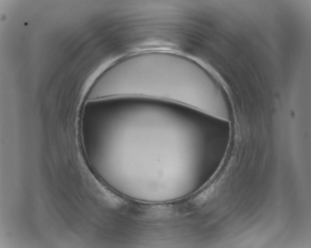 X0000071361333200606230828