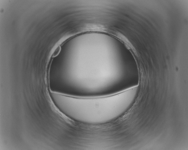 X0000071361339200606230828