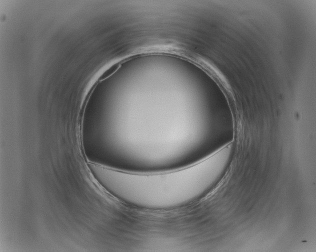 X0000071361340200606230828
