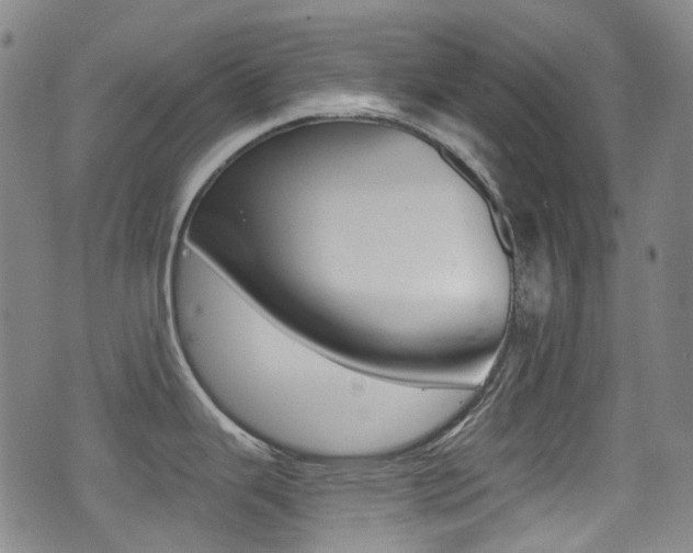 X0000071361343200606230828