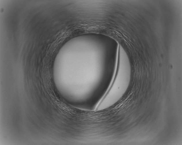 X0000071361345200606230827