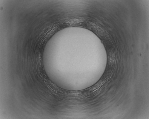 X0000071361346200606230827