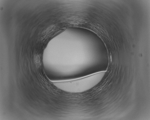 X0000071361347200606230827
