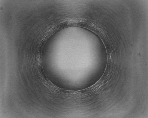 X0000071361348200606230827
