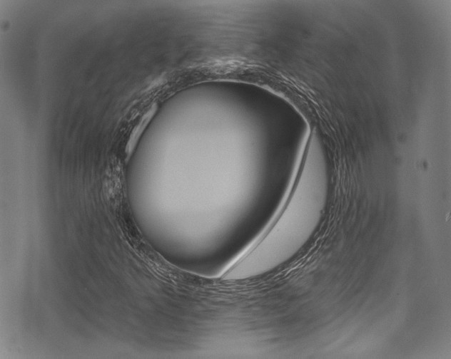 X0000071361349200606230827