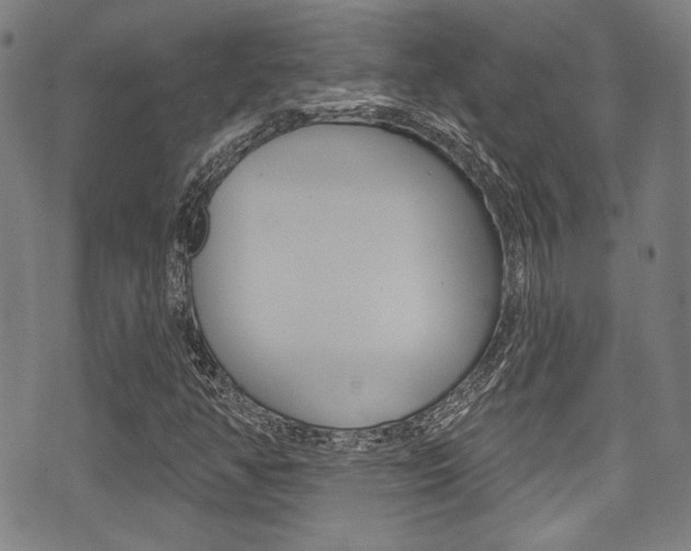 X0000071361350200606230827