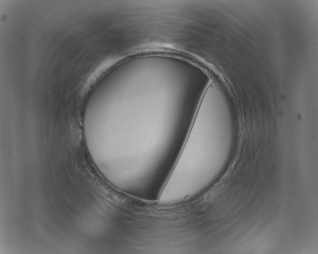 X0000071361363200606230827