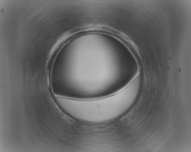 X0000071361368200606230827