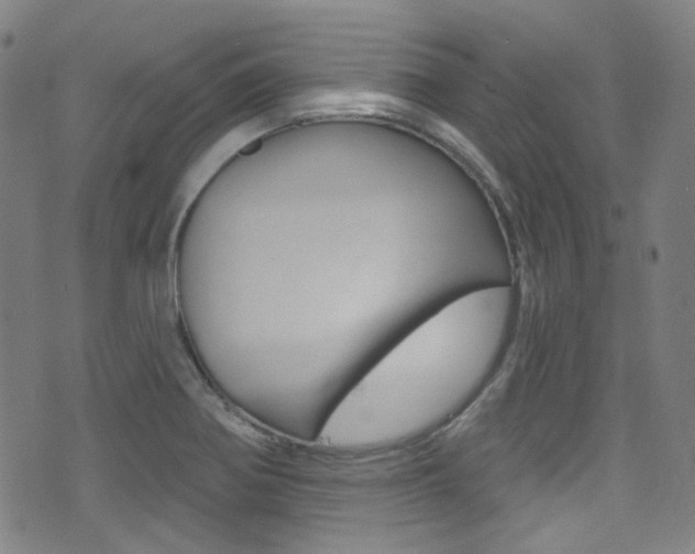 X0000071361370200606230827