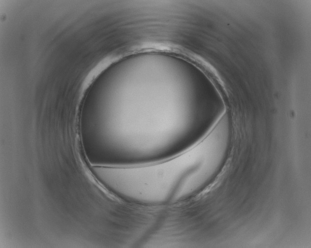 X0000071361373200606230827