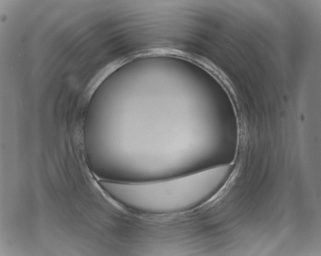 X0000071361385200606230827