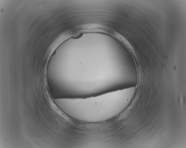 X0000071361386200606230827