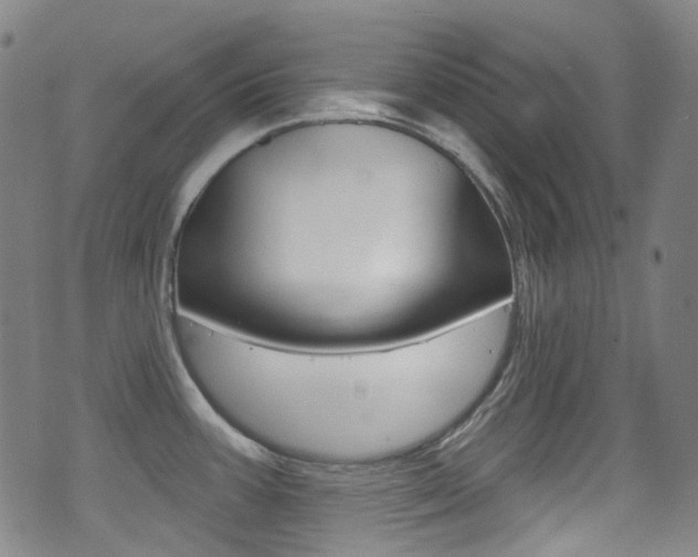 X0000071361387200606230827