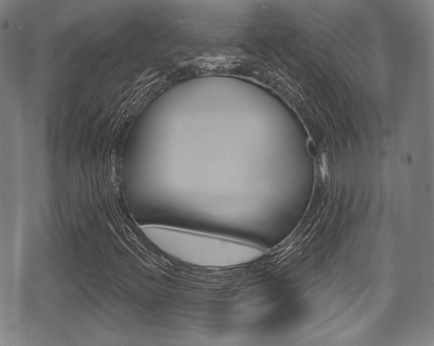 X0000071361396200606230826