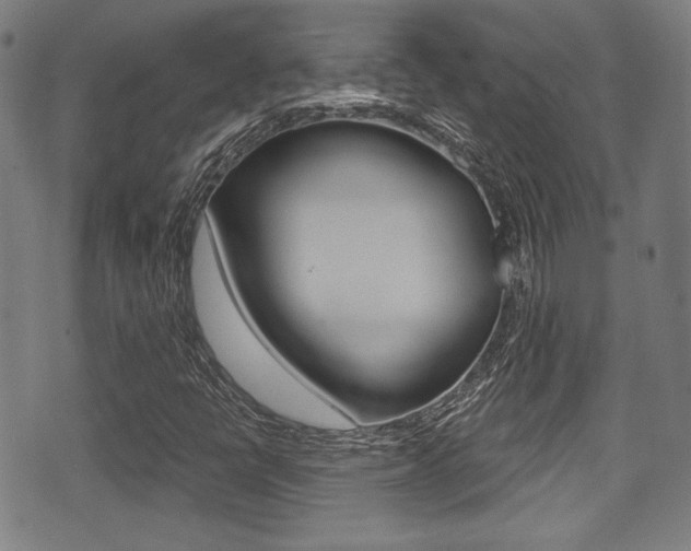 X0000071361398200606230826