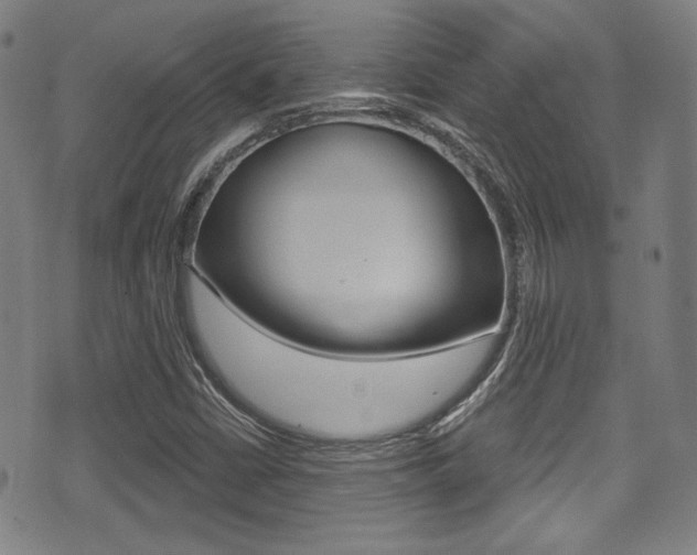 X0000071361402200606230826
