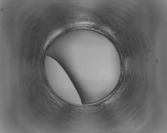 X0000071361405200606230826