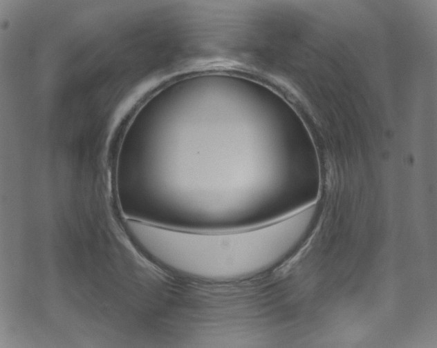 X0000071361414200606230826