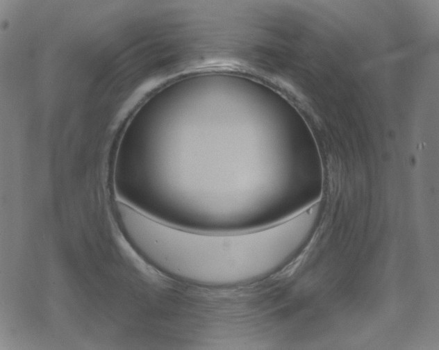 X0000071361422200606230826