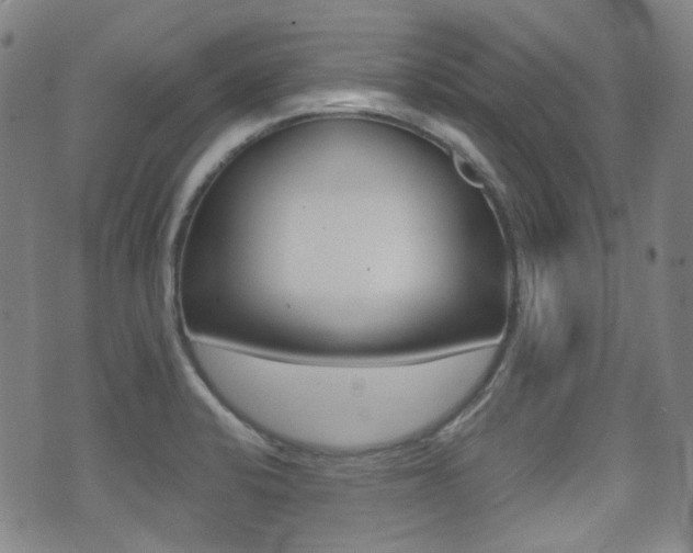 X0000071361424200606230826