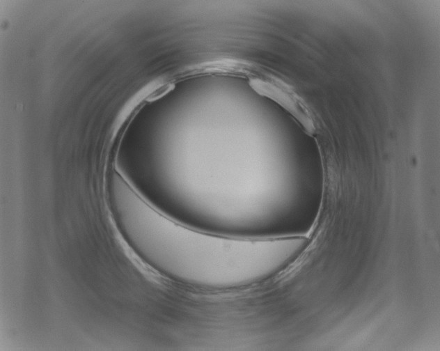 X0000071361426200606230826