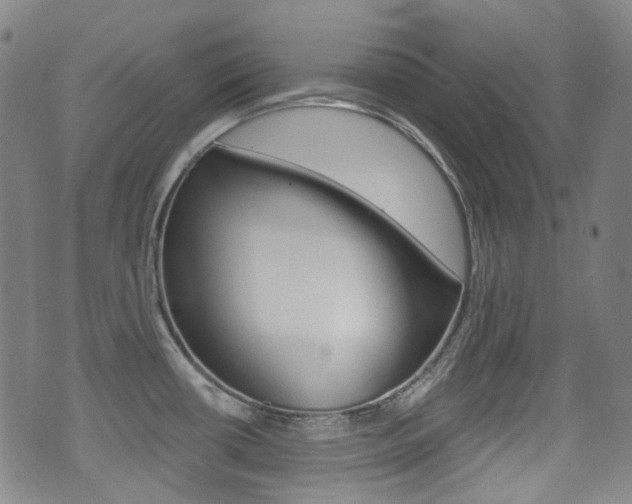 X0000071361434200606230827