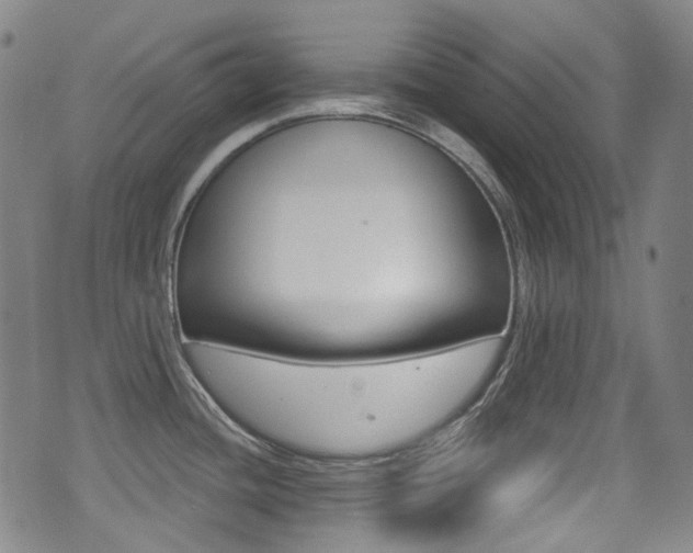 X0000071361436200606230827