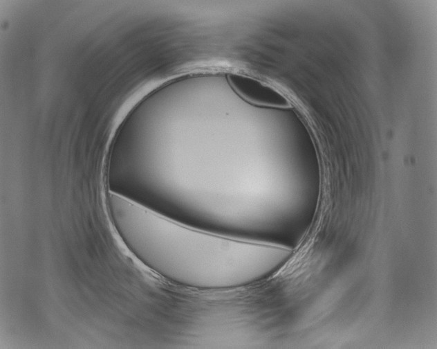 X0000071361440200606230827