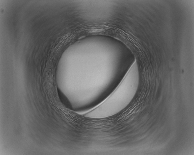 X0000071361441200606230826