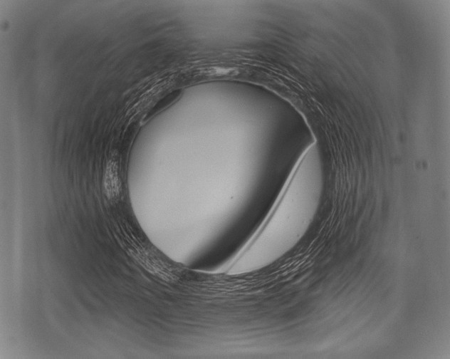 X0000071361442200606230826