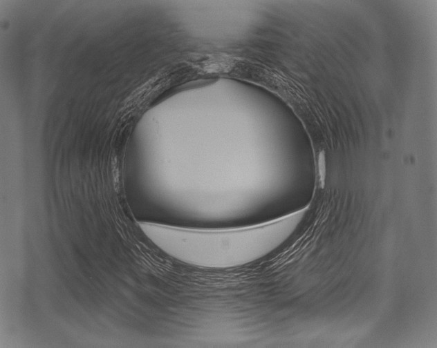 X0000071361443200606230826