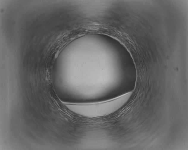 X0000071361445200606230826