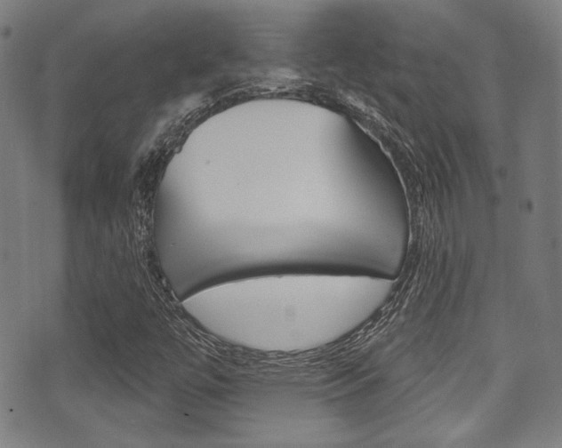 X0000071361447200606230826