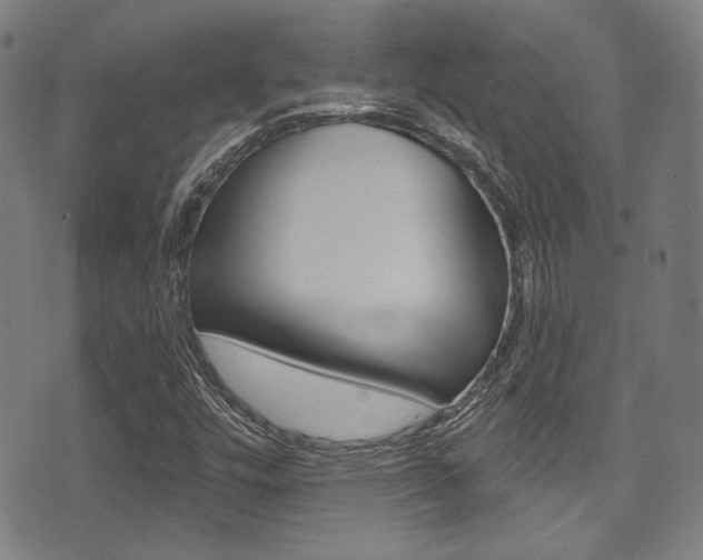 X0000071361448200606230826