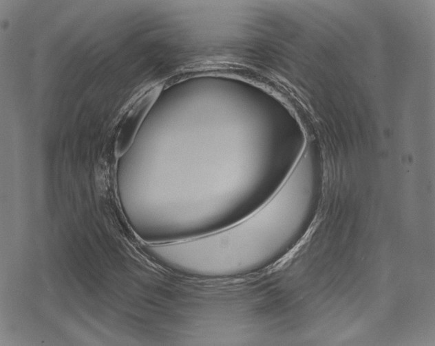 X0000071361449200606230826