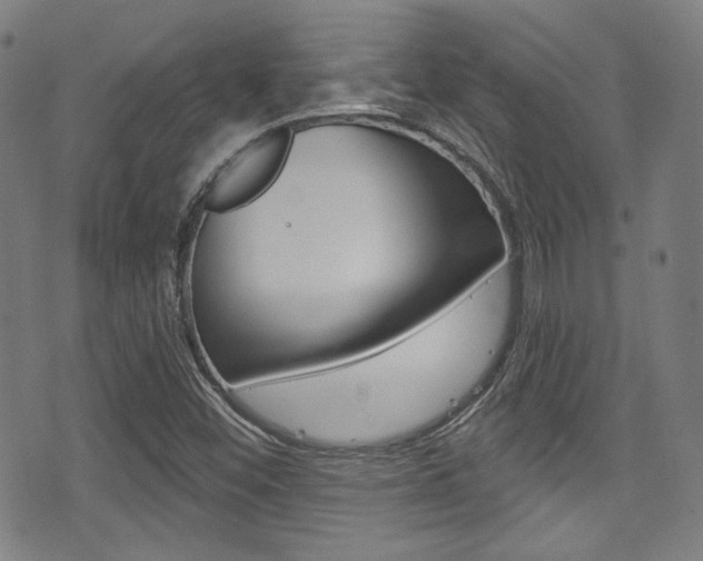 X0000071361452200606230826
