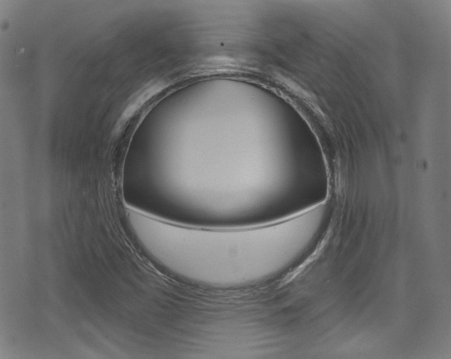 X0000071361453200606230826