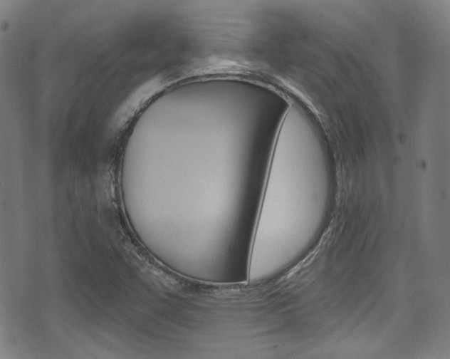 X0000071361455200606230826