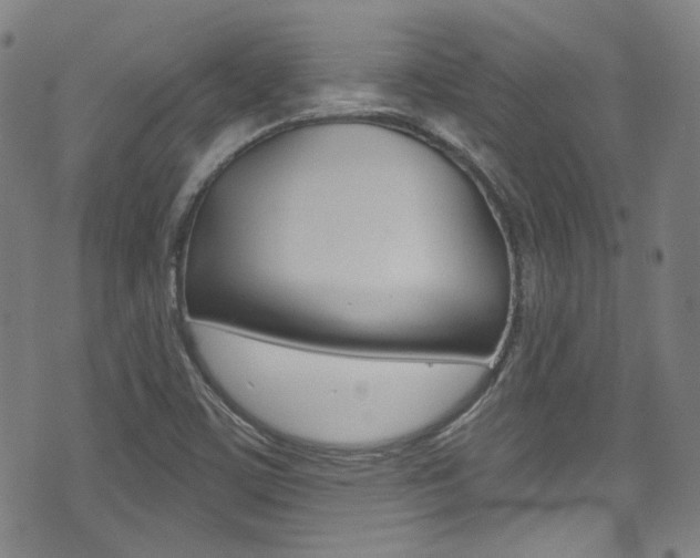 X0000071361459200606230826