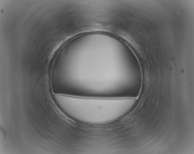 X0000071361460200606230826