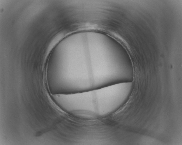 X0000071361467200606230825
