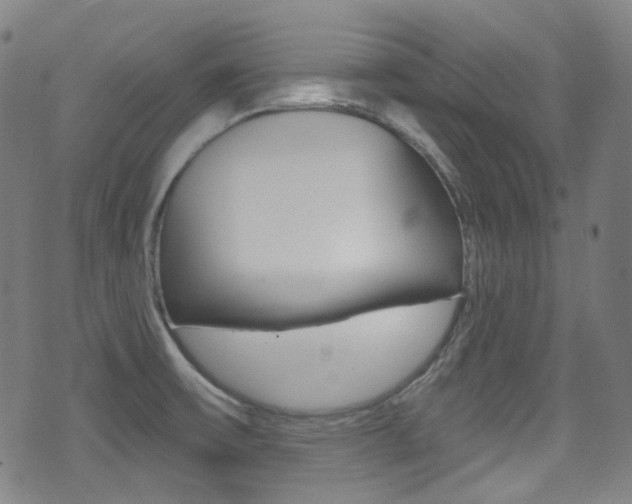 X0000071361475200606230825