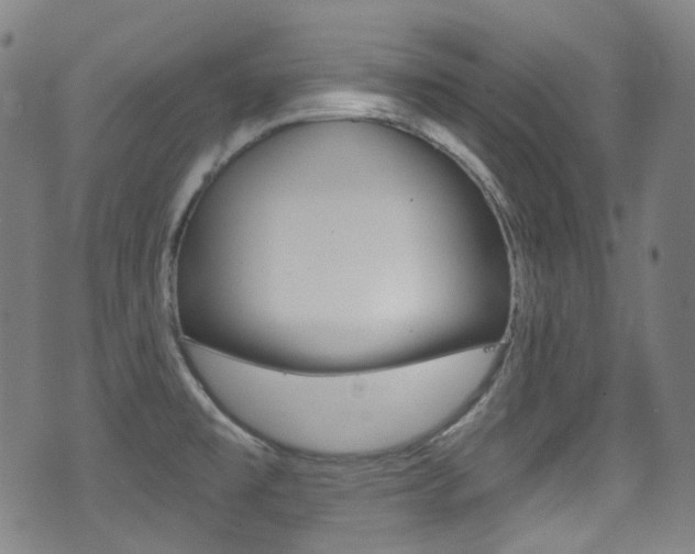 X0000071361477200606230825