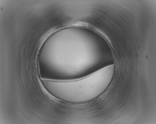 X0000071361483200606230825