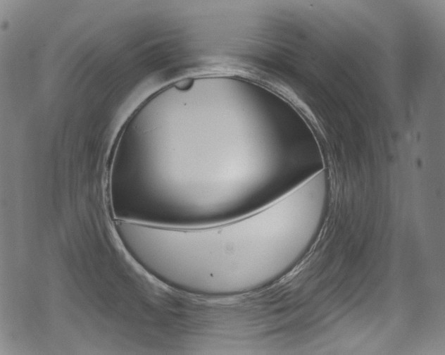 X0000071361484200606230825
